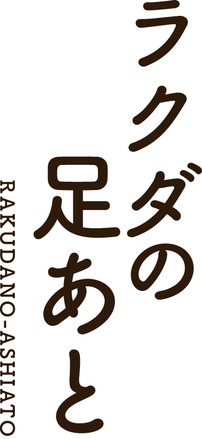 【手みやげ人気No.1】ラクダの足あと RAKUDANO-ASHIATO 